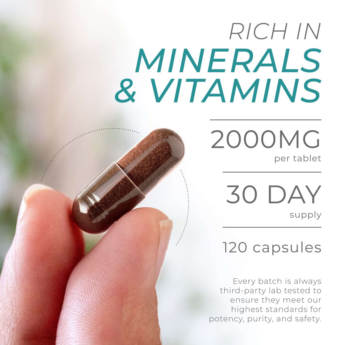 Cestox Sea Moss Capsules