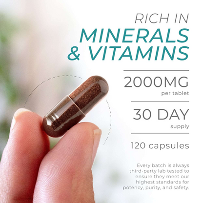 Cestox Sea Moss Capsules