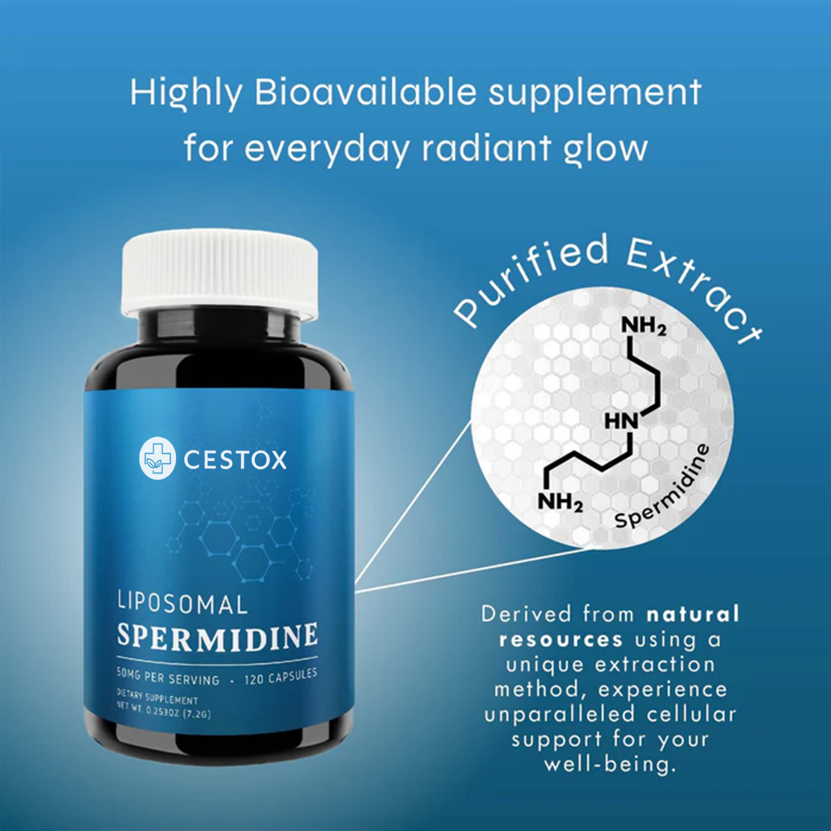 Cestox Liposomal Spermidine Capsules™